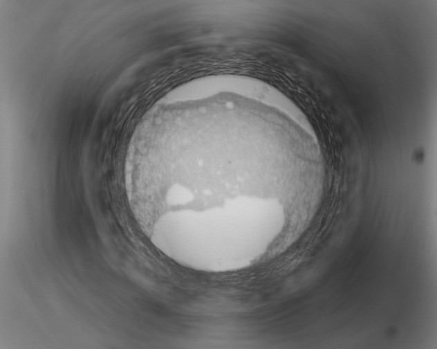 X0000115260820200912111138