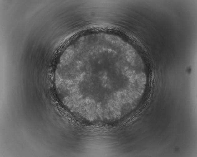 X0000115260822200912111138