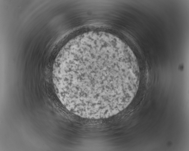 X0000115260823200912111138