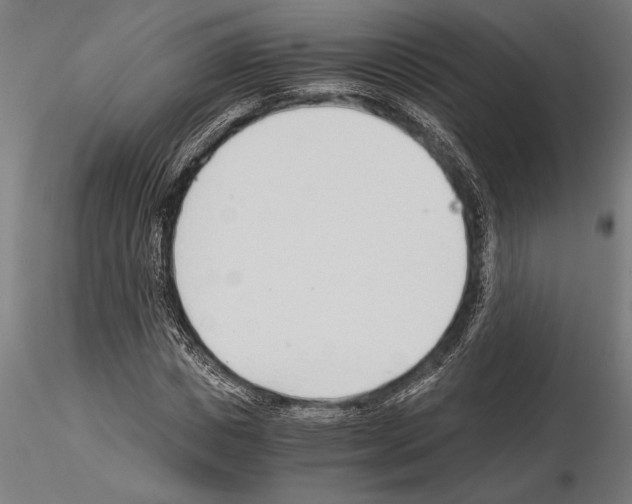 X0000115260825200912111138