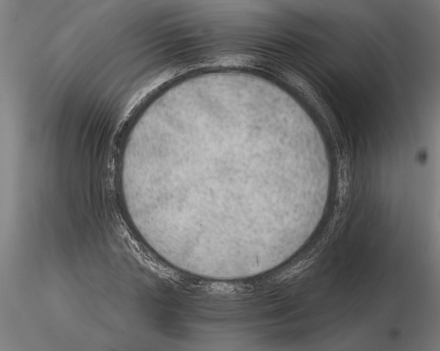 X0000115260827200912111138