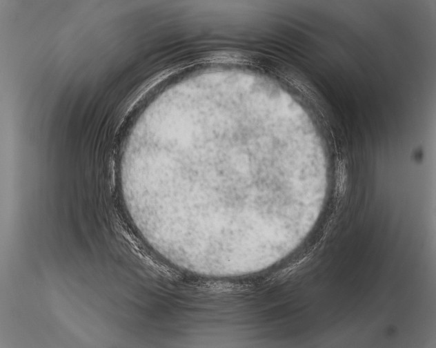 X0000115260829200912111138