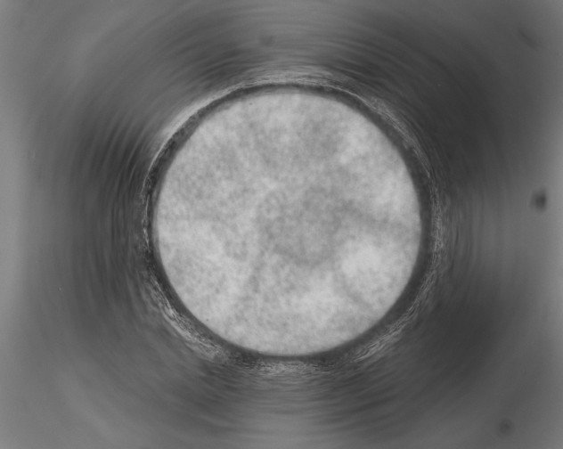 X0000115260830200912111138