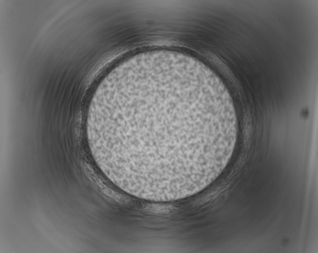 X0000115260831200912111138