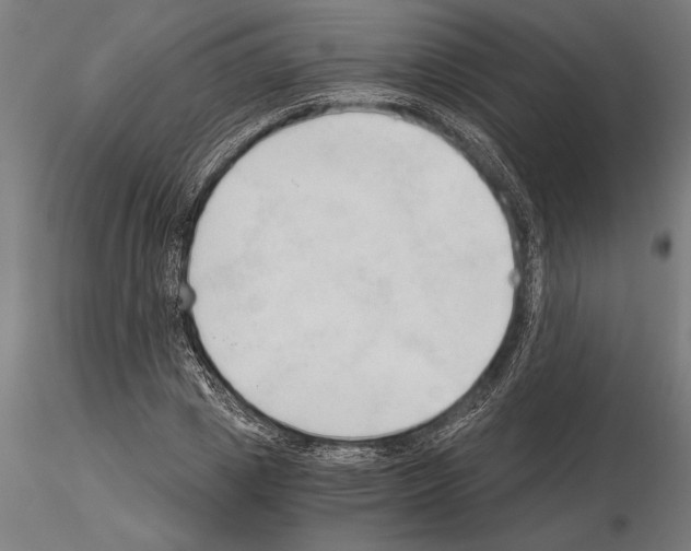 X0000115260833200912111138