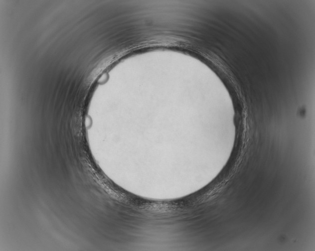 X0000115260834200912111138