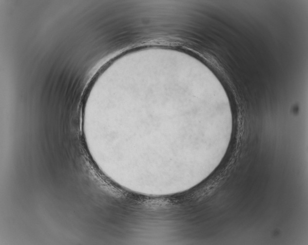 X0000115260838200912111138