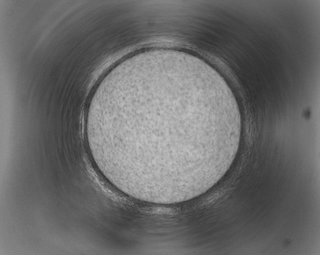 X0000115260839200912111138