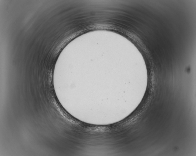 X0000115260841200912111138