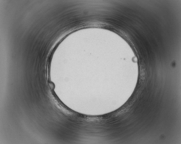 X0000115260843200912111138