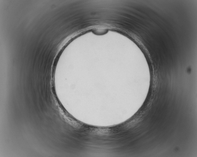 X0000115260845200912111138