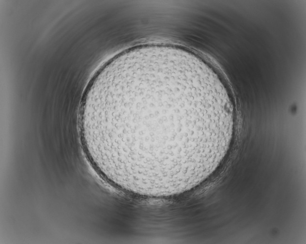 X0000115260847200912111138