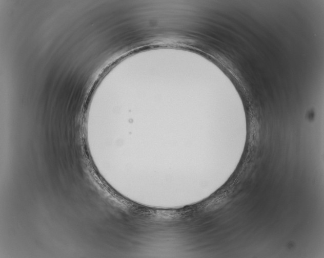 X0000115260848200912111138