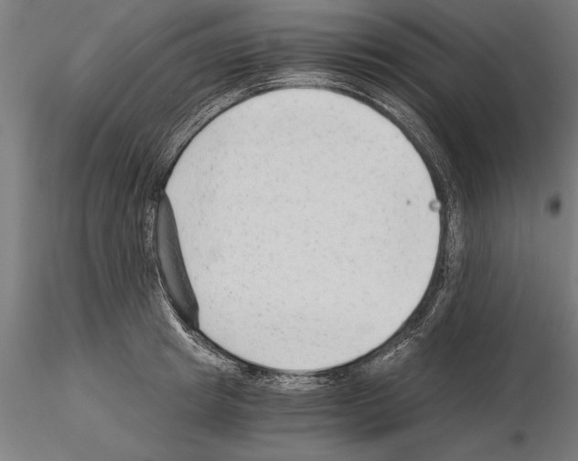 X0000115260849200912111138