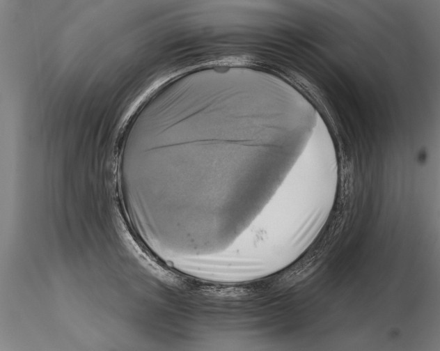 X0000115260851200912111138