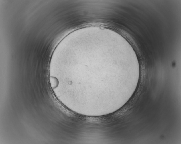 X0000115260852200912111138