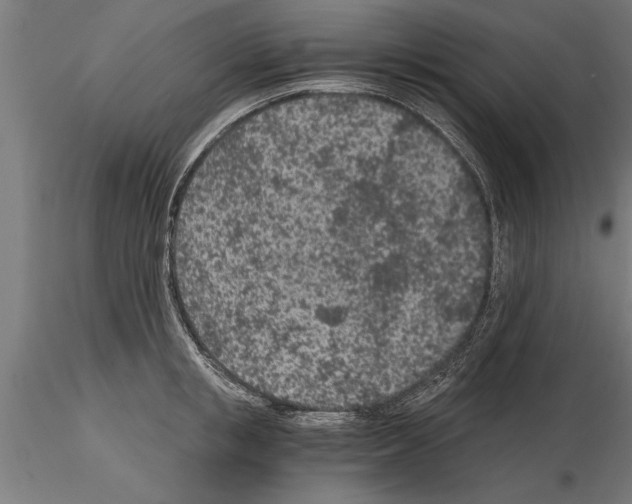 X0000115260853200912111138