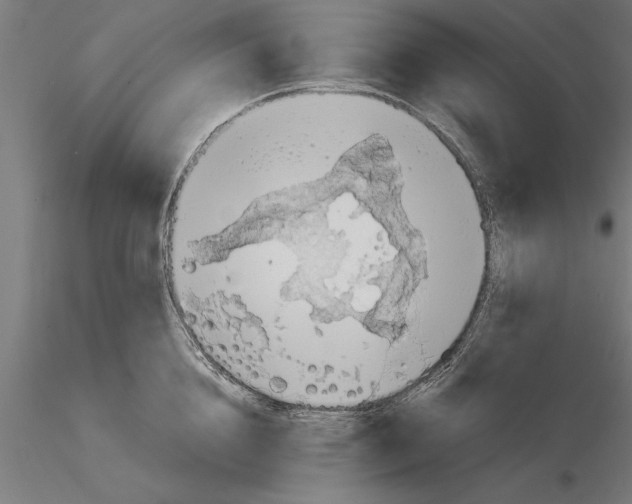 X0000115260856200912111139