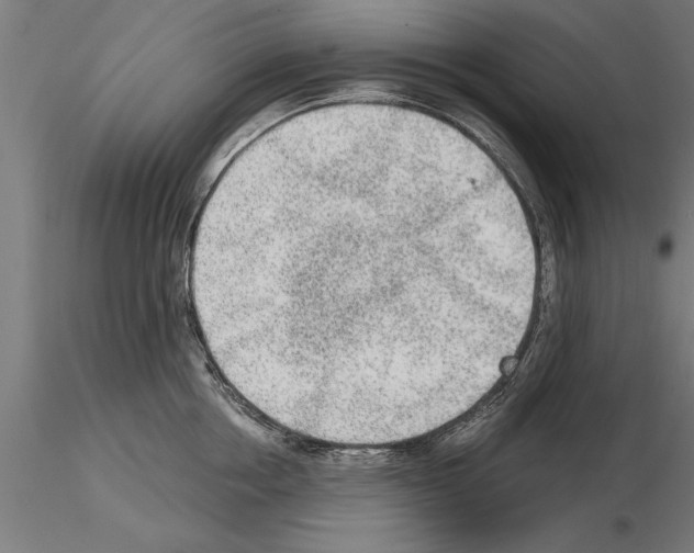 X0000115260858200912111139