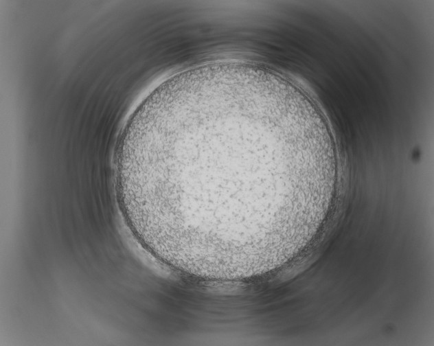 X0000115260859200912111139