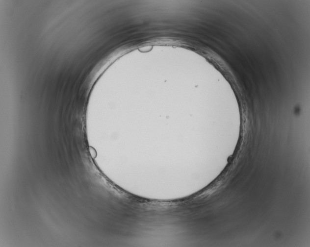 X0000115260860200912111139