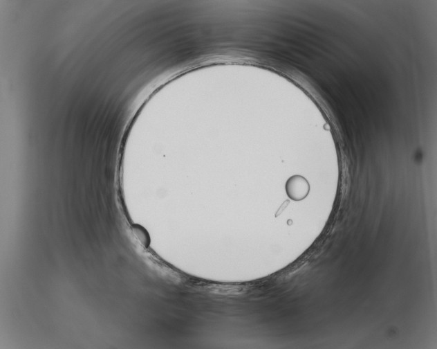 X0000115260861200912111139