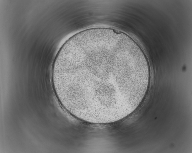 X0000115260862200912111139