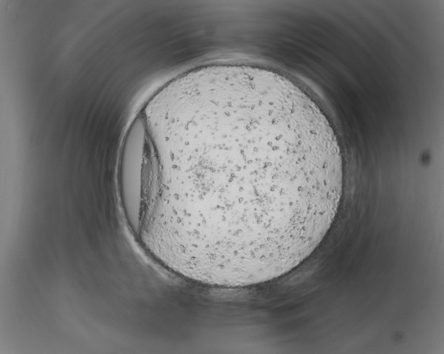 X0000115260863200912111139