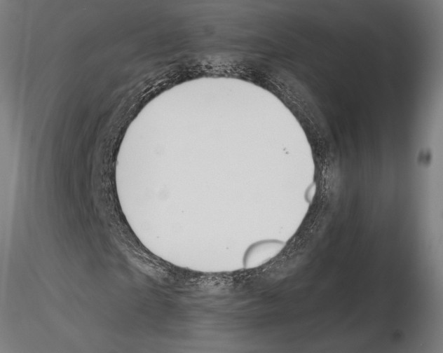 X0000115260865200912111138