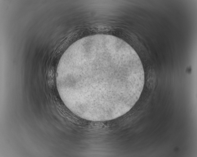 X0000115260866200912111138