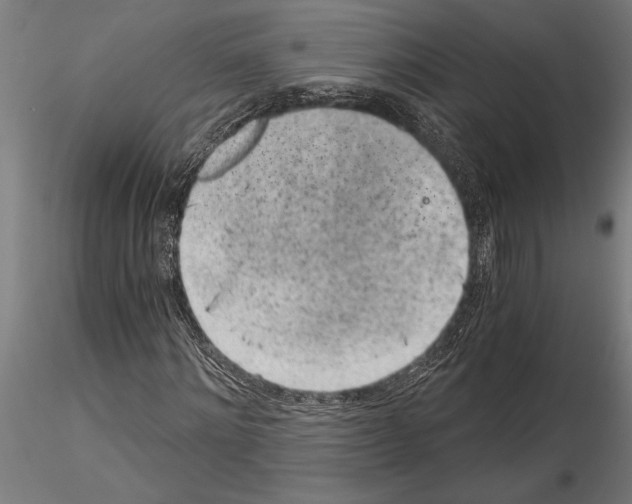 X0000115260868200912111138