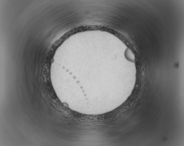 X0000115260871200912111138