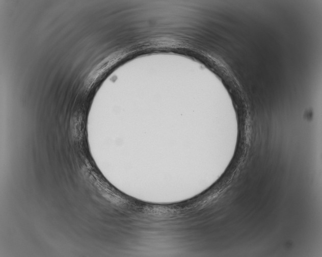 X0000115260873200912111138