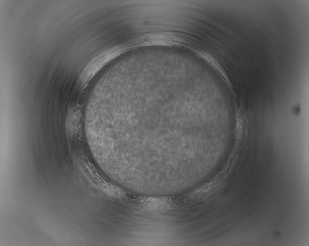 X0000115260874200912111138