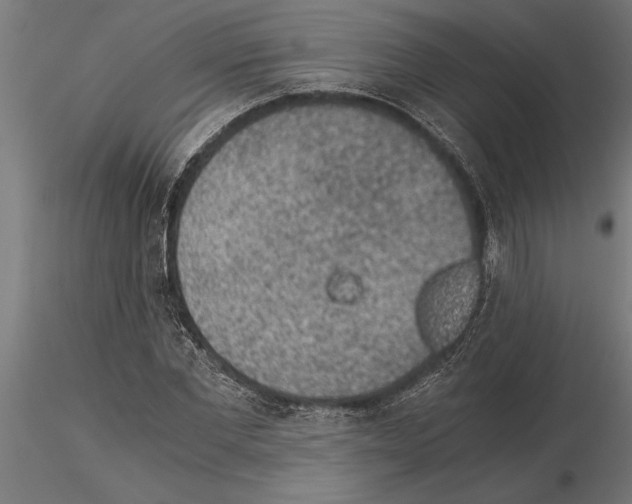 X0000115260877200912111138