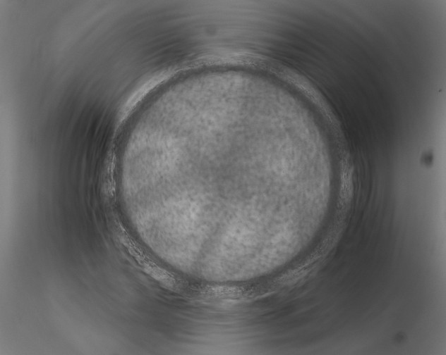 X0000115260878200912111138