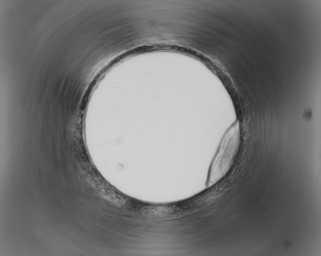 X0000115260879200912111138