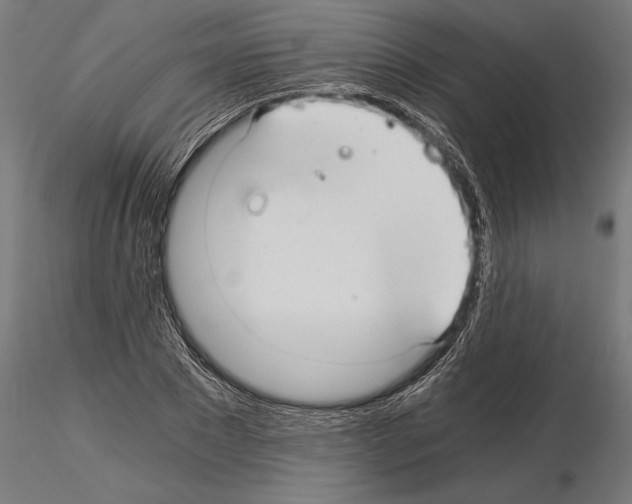 X0000115260881200912111138