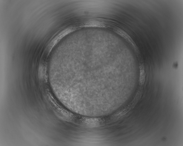 X0000115260882200912111138