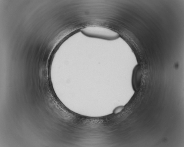 X0000115260884200912111138