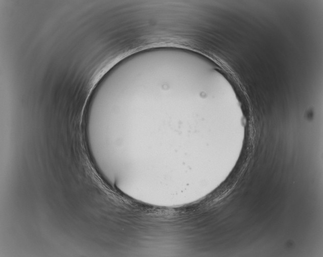 X0000115260885200912111138