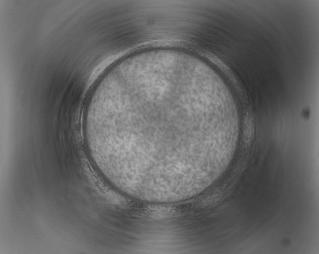 X0000115260886200912111138