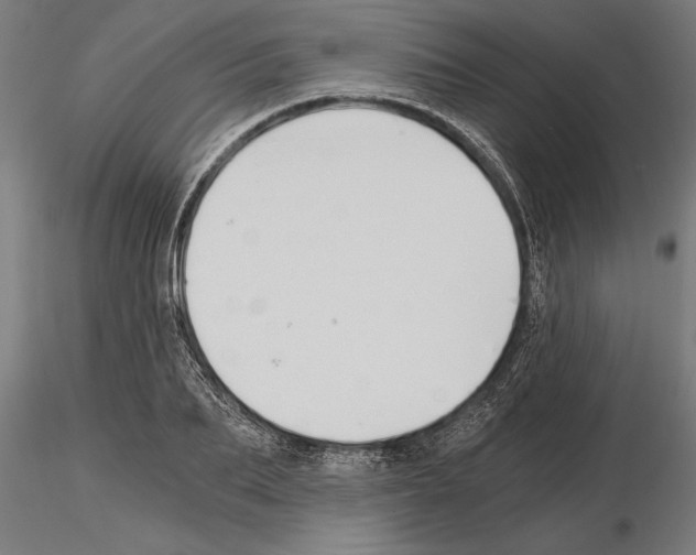 X0000115260887200912111138