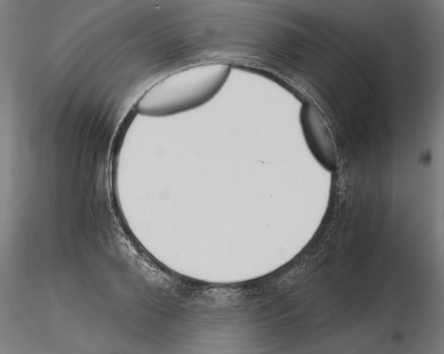 X0000115260888200912111137