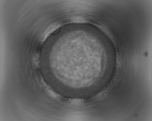 X0000115260889200912111137