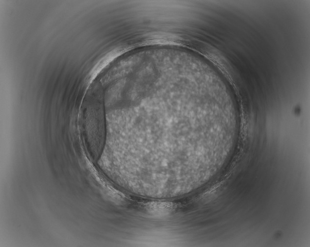 X0000115260893200912111137