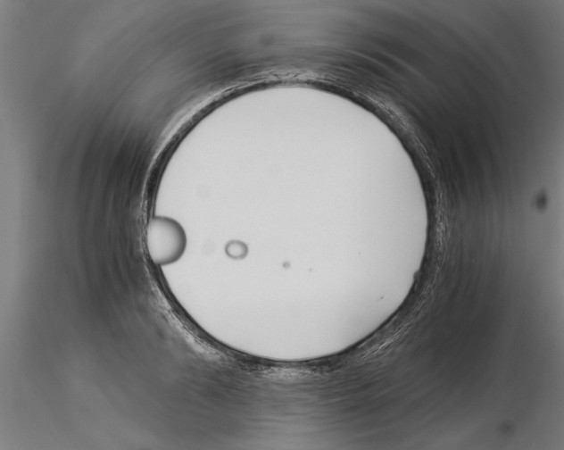 X0000115260894200912111137