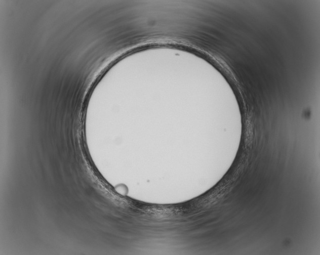 X0000115260895200912111137