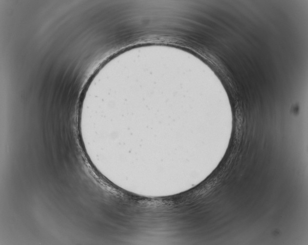 X0000115260896200912111137