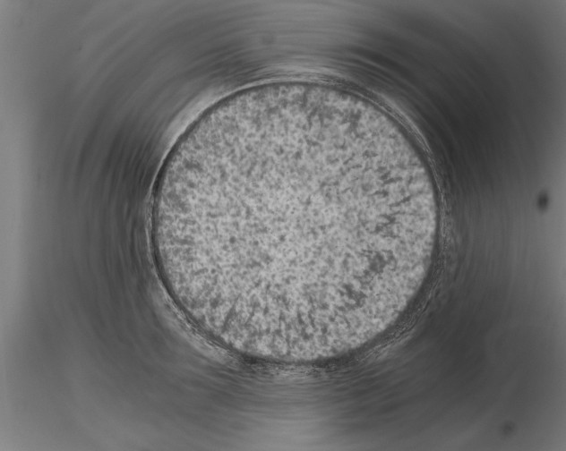 X0000115260899200912111137